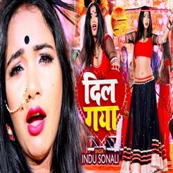 Dil Gaya songs