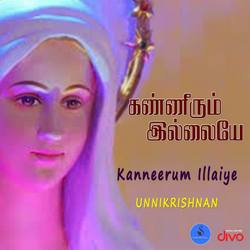 Kanneerum Illaiye