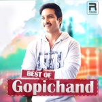 Best Of Gopichand songs