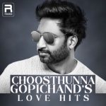 Choosthunna - Gopichand's Love Hits songs