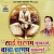 Sai Sharanam Sukhdai songs