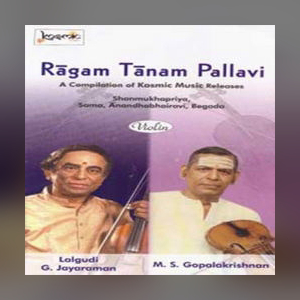 The Violin Maestro’s Magic