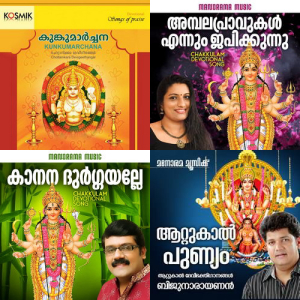 Grace of Bhagavathy Amman