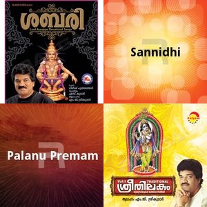 Rhythms Of The Southern Soul