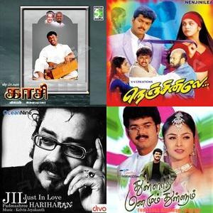 Smooth Silk In Musical Form