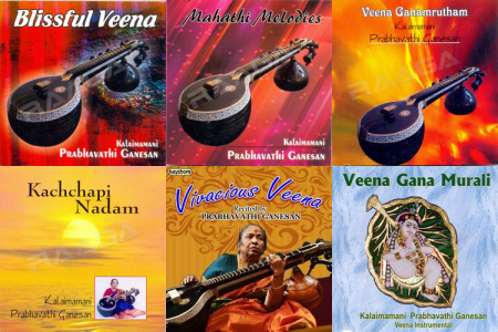Echoes of Carnatic Grace