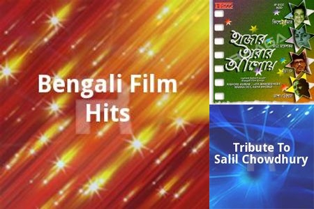 The Nightingale Voice of India