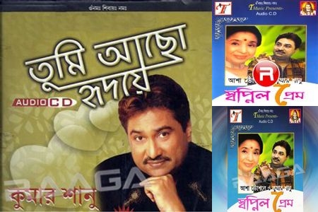 Romance Singer of the 90s