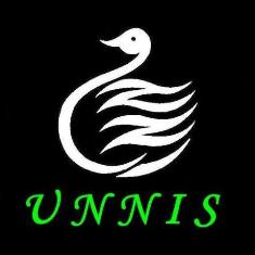 UNNI K UNNI