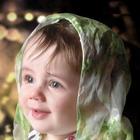 selviskskvn selviskskvn