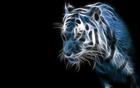 suresh